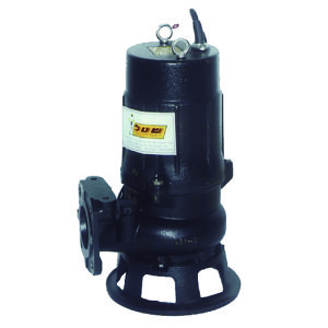 משאבה טבולה 80B21.5